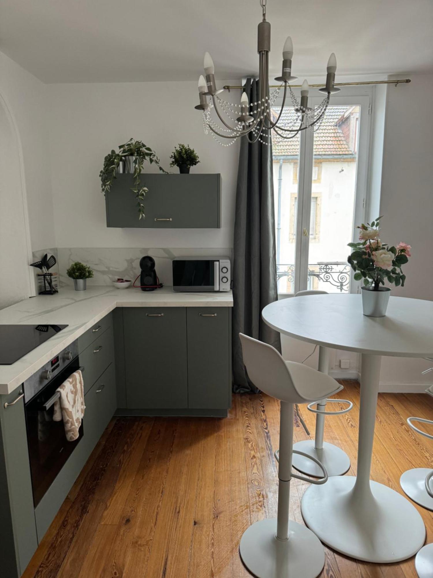 Appartement T2 Plein Centre ディジョン エクステリア 写真